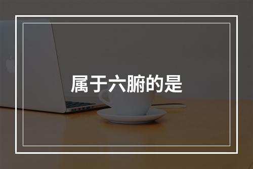 属于六腑的是