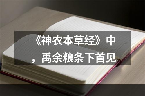 《神农本草经》中，禹余粮条下首见