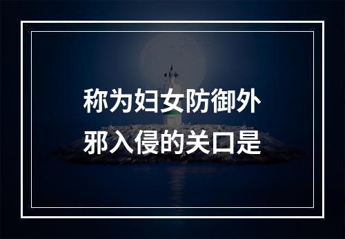 称为妇女防御外邪入侵的关口是