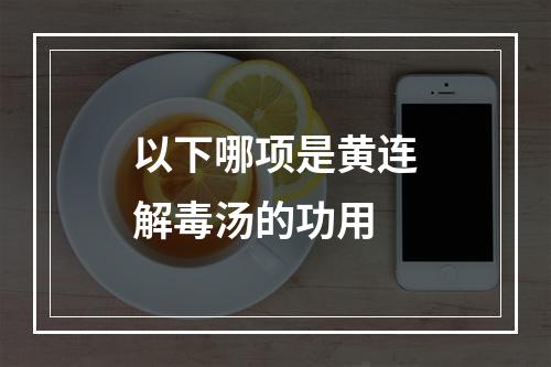 以下哪项是黄连解毒汤的功用