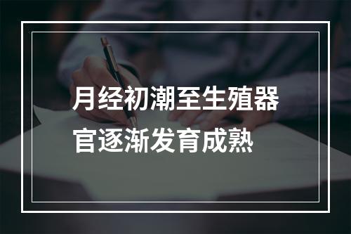 月经初潮至生殖器官逐渐发育成熟