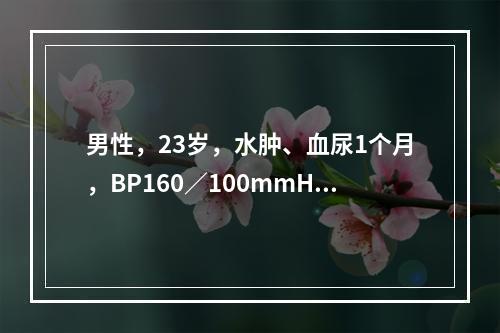 男性，23岁，水肿、血尿1个月，BP160／100mmHg，