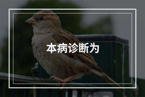 本病诊断为