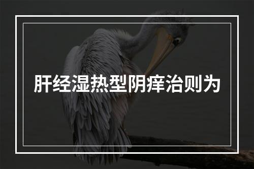 肝经湿热型阴痒治则为