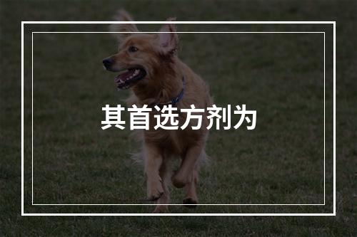 其首选方剂为