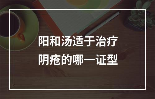 阳和汤适于治疗阴疮的哪一证型