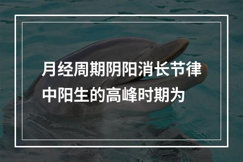 月经周期阴阳消长节律中阳生的高峰时期为