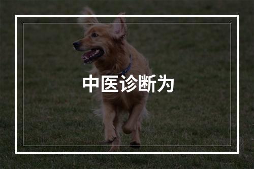 中医诊断为