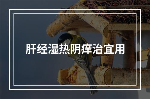 肝经湿热阴痒治宜用