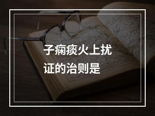 子痫痰火上扰证的治则是