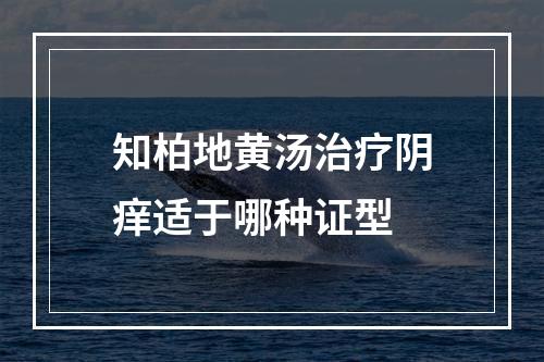 知柏地黄汤治疗阴痒适于哪种证型