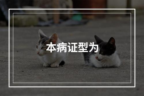 本病证型为