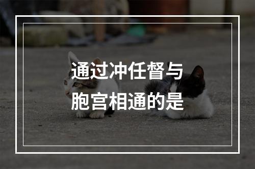 通过冲任督与胞宫相通的是