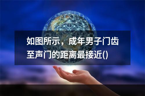 如图所示，成年男子门齿至声门的距离最接近()