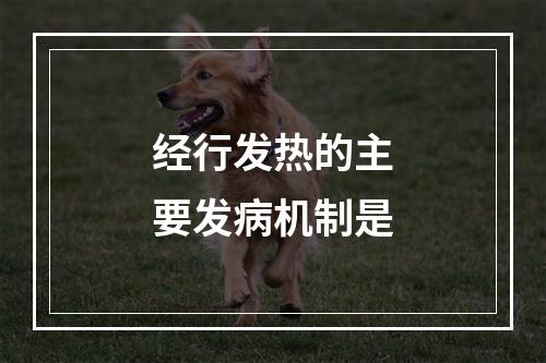 经行发热的主要发病机制是