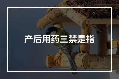 产后用药三禁是指