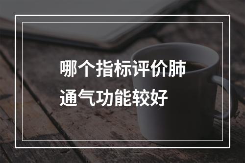 哪个指标评价肺通气功能较好