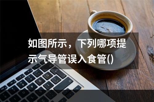 如图所示，下列哪项提示气导管误入食管()