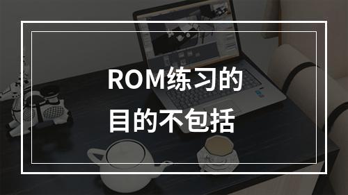 ROM练习的目的不包括