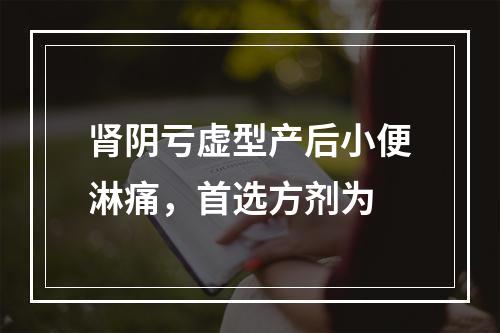 肾阴亏虚型产后小便淋痛，首选方剂为