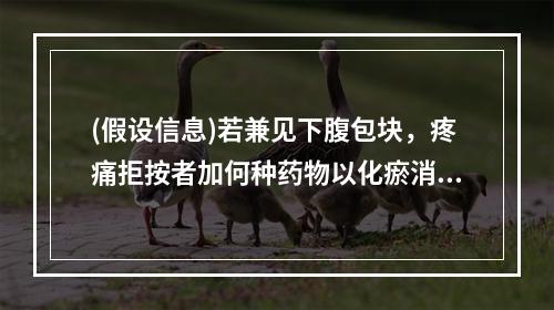 (假设信息)若兼见下腹包块，疼痛拒按者加何种药物以化瘀消积活