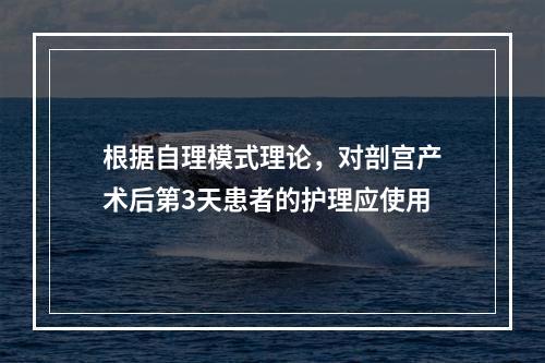 根据自理模式理论，对剖宫产术后第3天患者的护理应使用