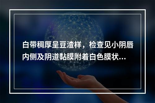 白带稠厚呈豆渣样，检查见小阴唇内侧及阴道黏膜附着白色膜状物