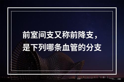 前室间支又称前降支，是下列哪条血管的分支