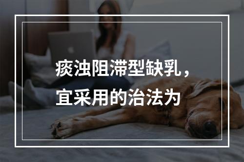 痰浊阻滞型缺乳，宜采用的治法为