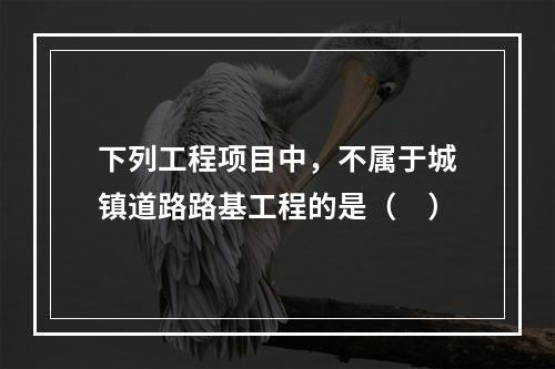 下列工程项目中，不属于城镇道路路基工程的是（　）