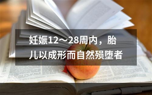 妊娠12～28周内，胎儿以成形而自然殒堕者