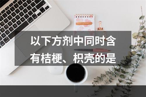 以下方剂中同时含有桔梗、枳壳的是