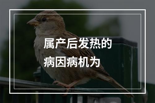 属产后发热的病因病机为