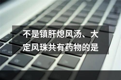 不是镇肝熄风汤、大定风珠共有药物的是