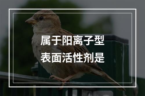 属于阳离子型表面活性剂是