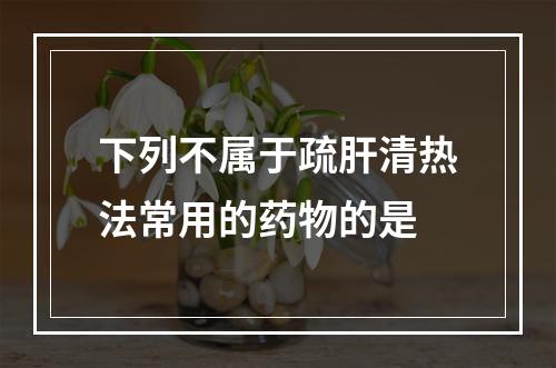 下列不属于疏肝清热法常用的药物的是