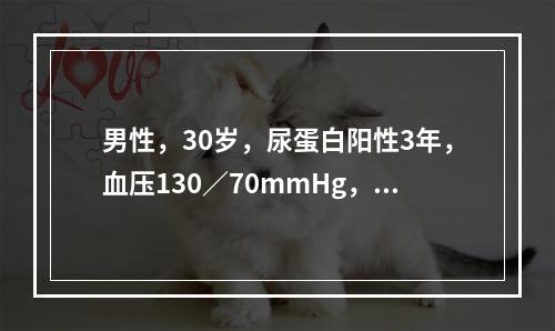 男性，30岁，尿蛋白阳性3年，血压130／70mmHg，尿蛋