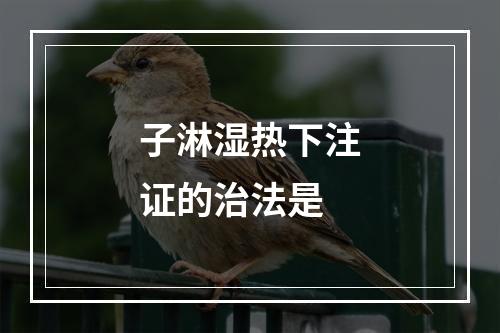 子淋湿热下注证的治法是