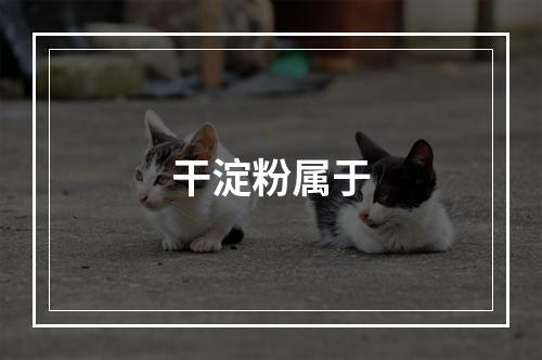 干淀粉属于