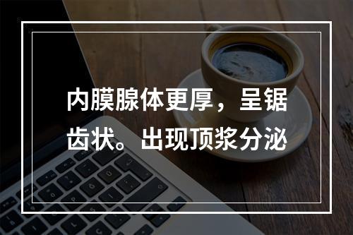 内膜腺体更厚，呈锯齿状。出现顶浆分泌