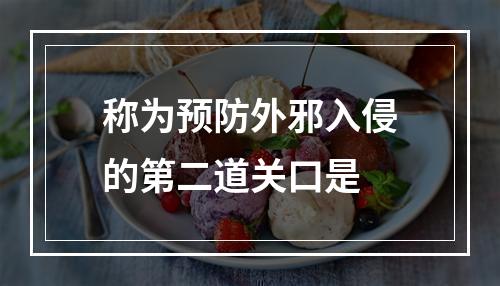 称为预防外邪入侵的第二道关口是