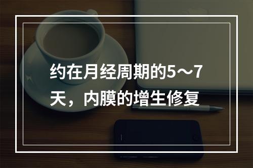 约在月经周期的5～7天，内膜的增生修复