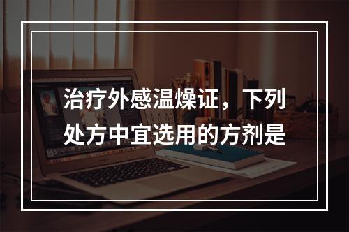 治疗外感温燥证，下列处方中宜选用的方剂是