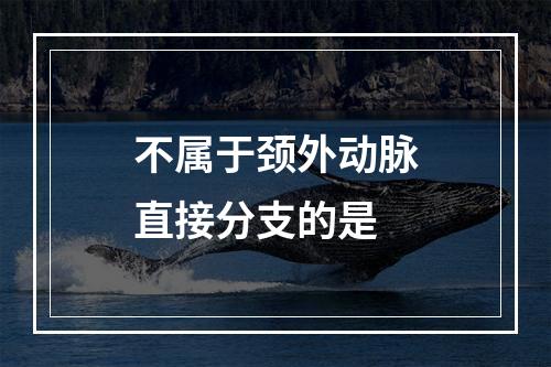 不属于颈外动脉直接分支的是