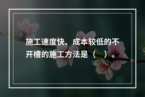 施工速度快、成本较低的不开槽的施工方法是（　）。