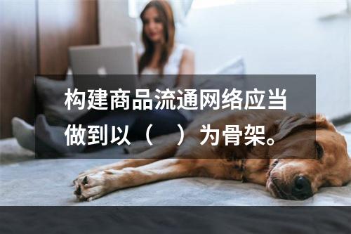 构建商品流通网络应当做到以（　）为骨架。