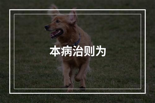 本病治则为