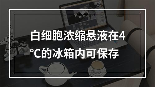 白细胞浓缩悬液在4℃的冰箱内可保存