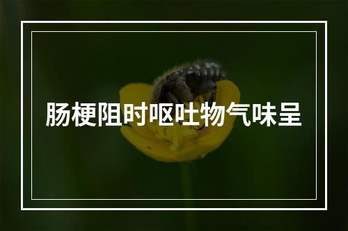 肠梗阻时呕吐物气味呈