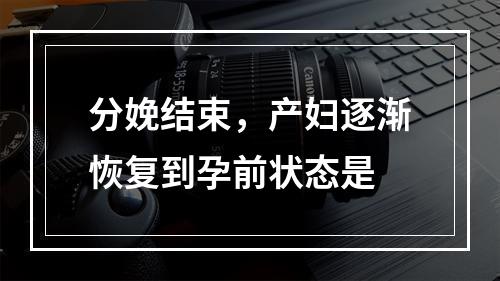 分娩结束，产妇逐渐恢复到孕前状态是